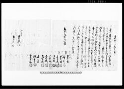 差出申一札之事(奥州津軽本所長吉病死につき指図御尋ね) 他 / Document of Community image