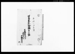 村高家数人馬調書上帳(阿部播磨守領分奥州石川郡中畑新田村) / Document of System image