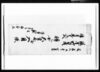 鎮守御祭礼錺付道具一式預ヶ所おほえ并入用帳（綴）/Document of Temples and Shrines image