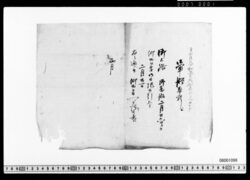 御上洛乗船日限達 image