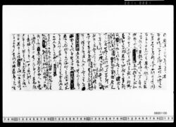 会津執政衆宛書簡案文(西陲の処置他) image