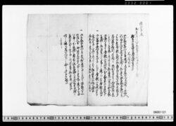 稲葉美濃守御渡書付写(御三家・御三卿行合作法につき) image