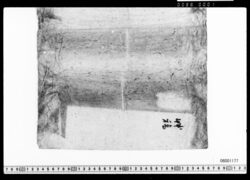 草稿包紙 image