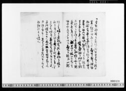 [原稿草稿](雲井龍雄につき) image