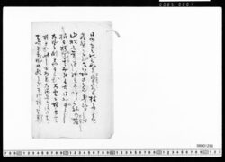 長歌案文(日のもとの) image