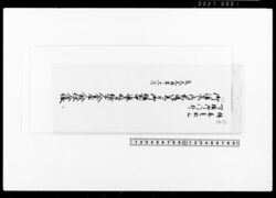一ツ橋御門外御注文之内前後御着ニ付御膳所中通下部并給士人釜屋人数仕分帳 / Among the Orders from Hitotsubashi Gomongai, Record of the Number of Nakadōri and Kabu (Envoys), as well as Waitstaff and Cooking Staff in the Kitchen on the Occasion of the Arrival near the Area image