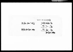 桑名公御道割御人割御請負証文桑名表進物江戸表進物 / Document of Komeya-Tanaka family image