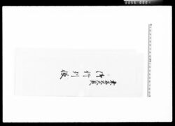 桑名公大奥御行列帳 / Document of Komeya-Tanaka family image
