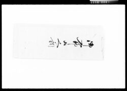 御入部御人調 / Document of Komeya-Tanaka family image