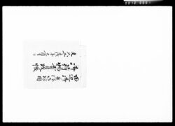 田辺御奥様御帰国御荷物貫目改帳 / Document of Komeya-Tanaka family image