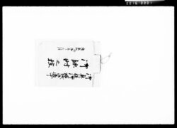 御奥様御帰城御道中御臨時之控 / Document of Komeya-Tanaka family image