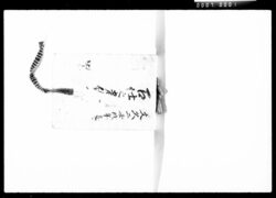 召仕之者給金渡分 / Document of Komeya Tanaka family image