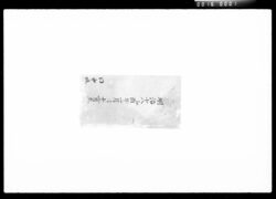 日記 / Diary image