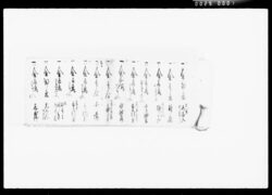 [十二月分家計簿] / Document of Komeya Tanaka family image