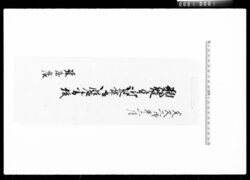 類焼ニ付御見舞御性名書抜 / Document of Komeya Tanaka family image
